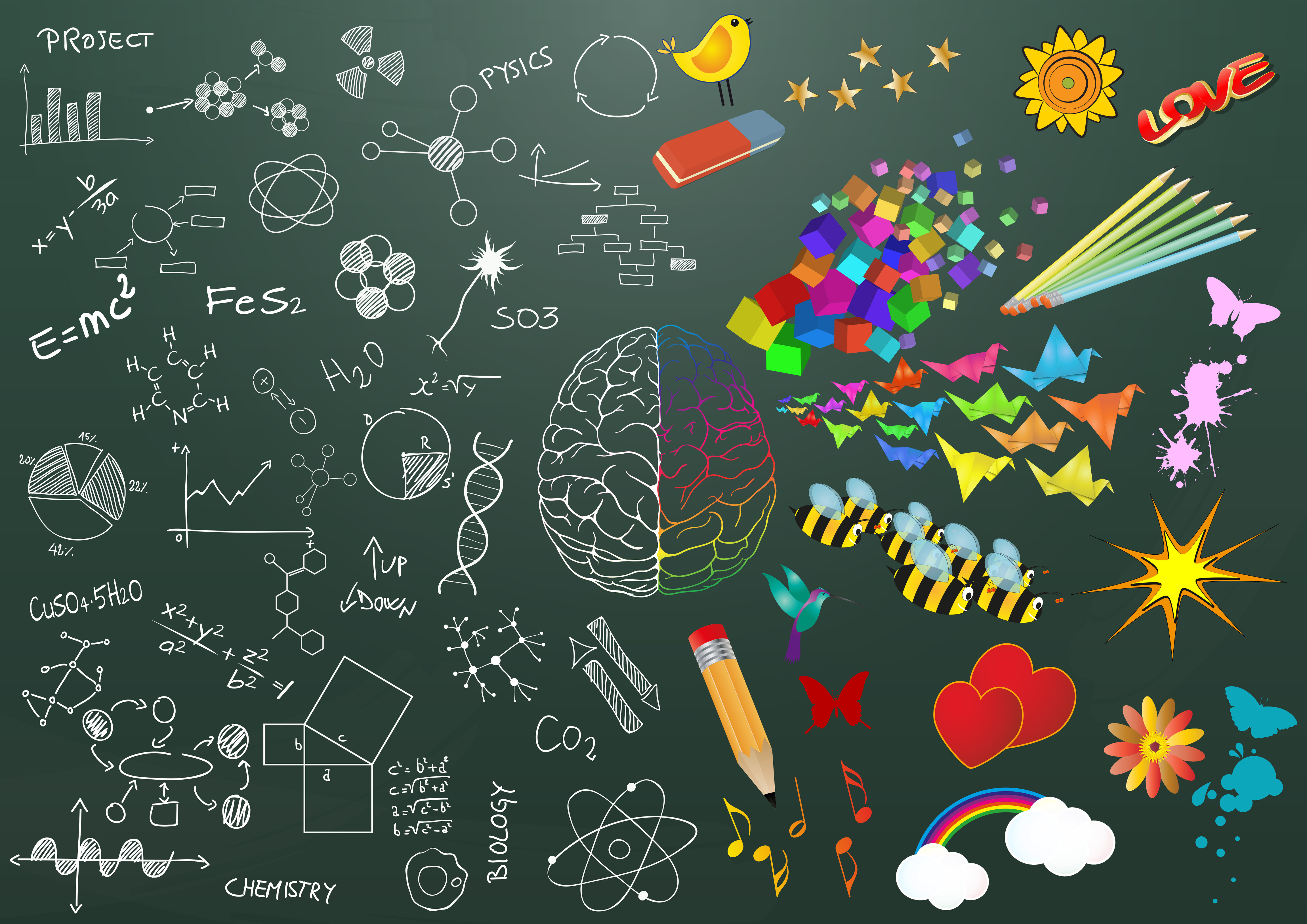 what-is-stem-education